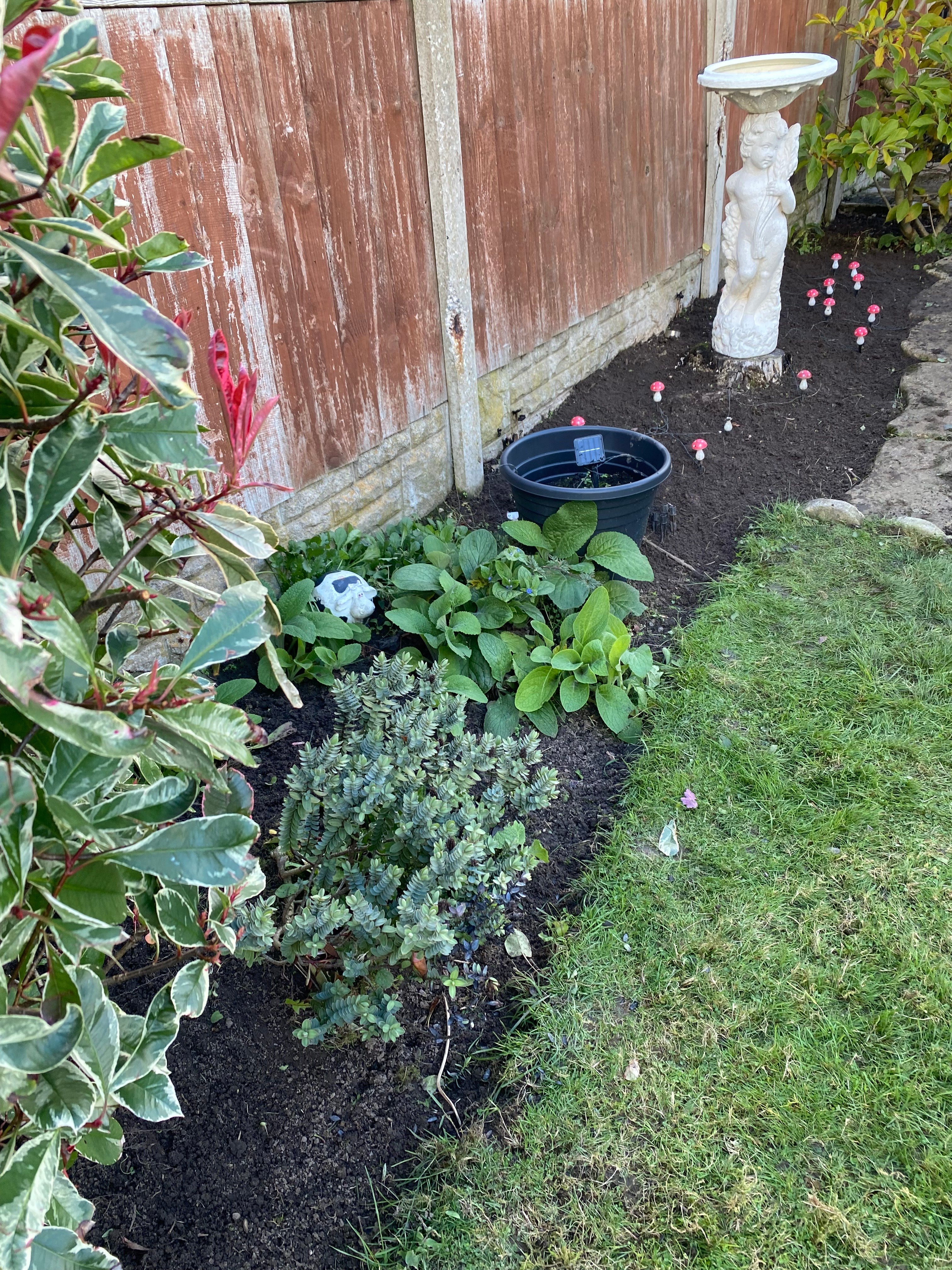 Garden Maintenance
